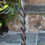 Coe Studios - Stair Rails